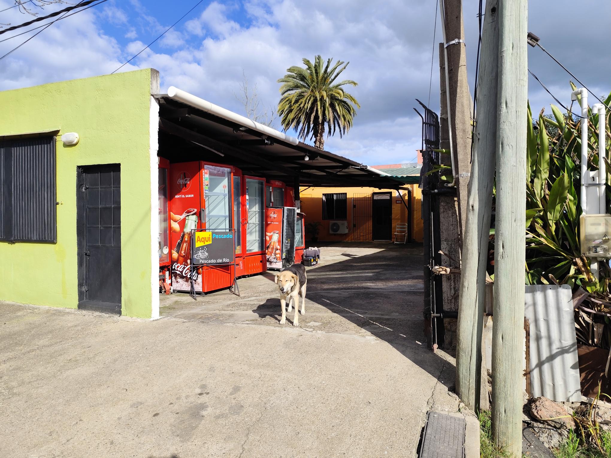 Se vende casa en Treinta y Tres a cuadra y media de Juan A Lavalleja